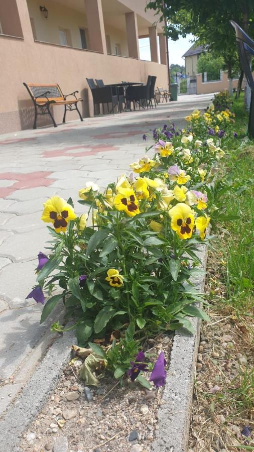 Casa Corina 호텔 투르다 외부 사진